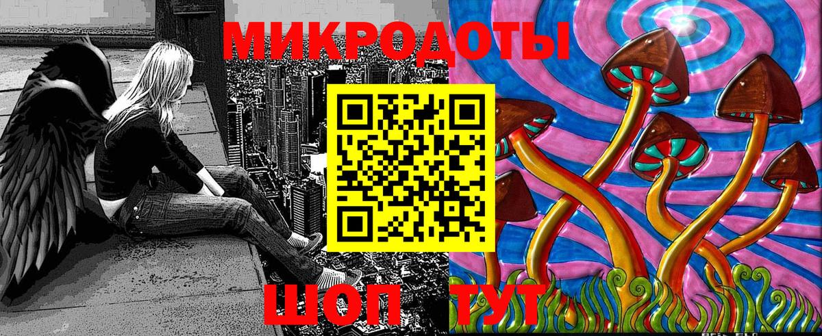 Псилоцибиновые грибы Psilocybe  Вход с VPN  Псилоцибиновые грибы мицелий  Черкесск 